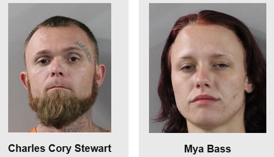 Charles Stewart Mya Bass Stewart and Bass